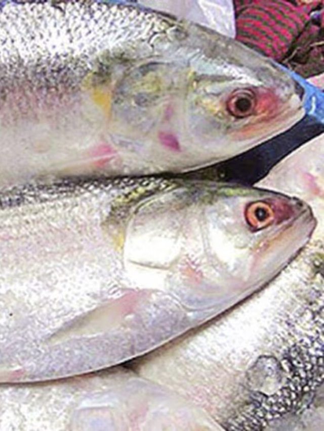 বেঁচে যাওয়া ইলিশের মাথা দিয়ে বানান দুর্দান্ত ভর্তা, জিভে লেগে থাকবে