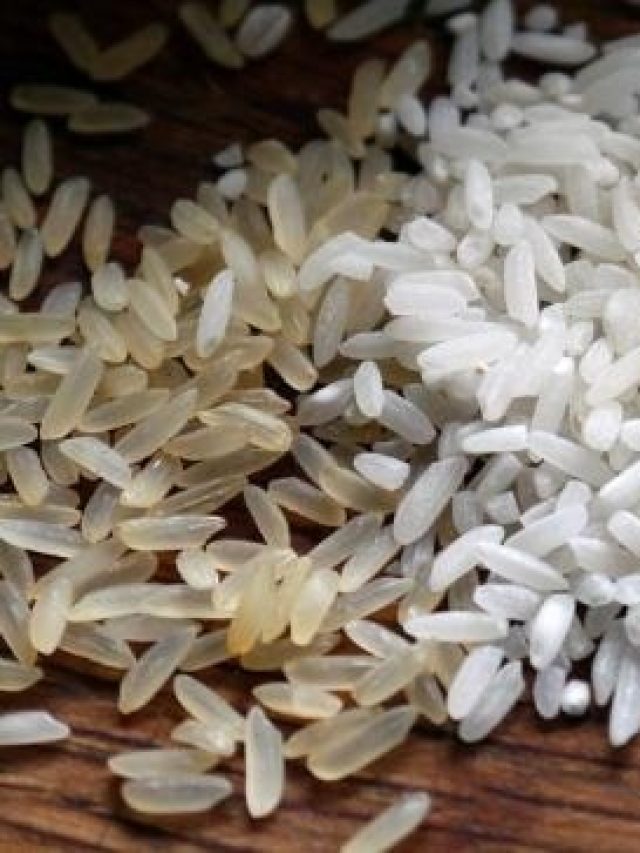 চালে কোনওদিনও পোকা ধরবে না, রাখার সময় এটা মাথায় রাখুন