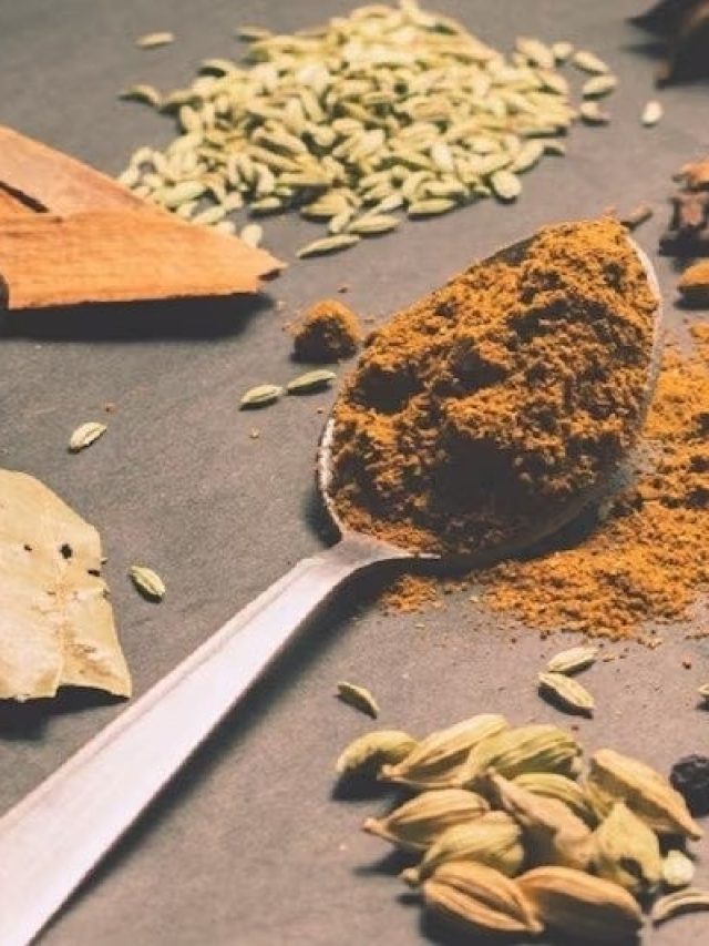 এই  সিক্রেট মশলায় বাজার কাঁপায় রেস্তোঁরাগুলি, আপনিও শিখে নিন