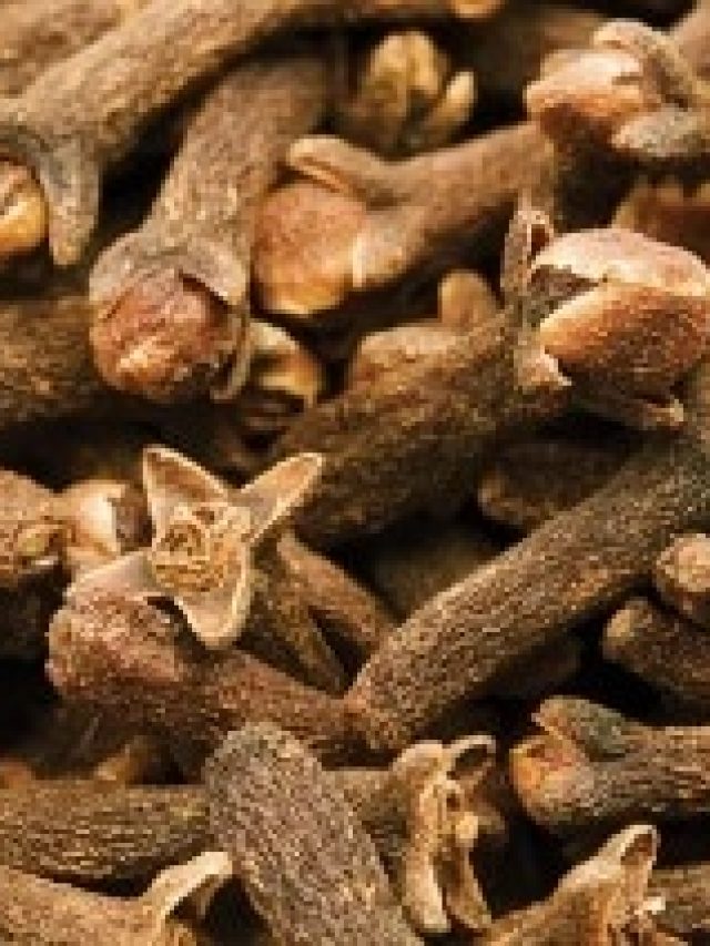 লবঙ্গ মুখে ঢুকিয়ে দিন, ব্যস, খেলা শুরু হবে