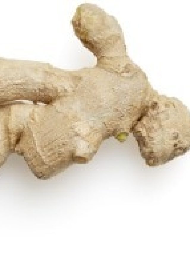 শুধু লাগবে আদা,  তাতেই খেলা হবে