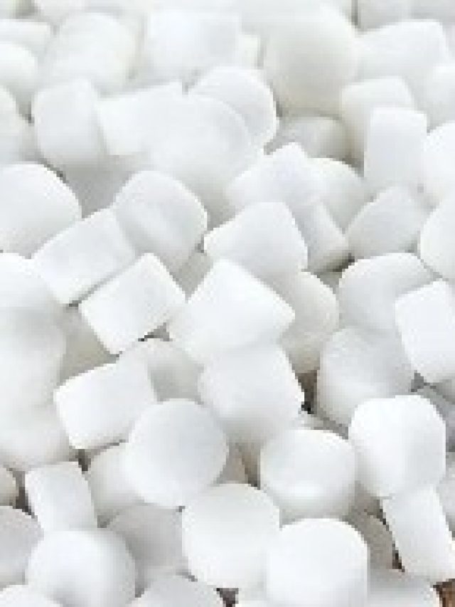 শুধু লাগবে ২ টুকরো কর্পূর, পুরুষত্ব  রকেটের মতো ছুটবে বুড়ো বয়সেও