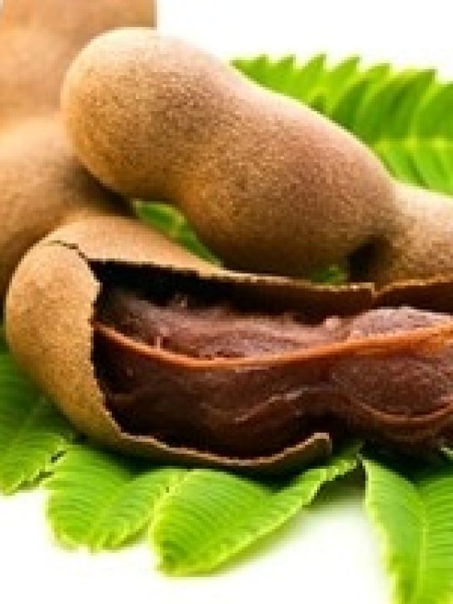 তেঁতুলের বীজ খেলে এসব উপকার হয়, জানুন