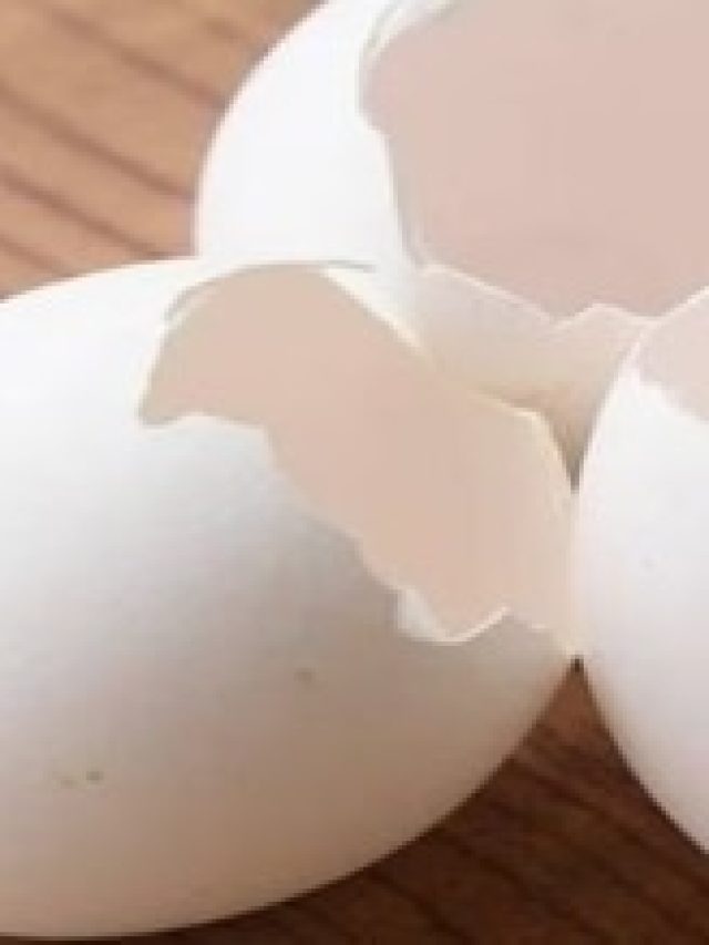 ডিমের খোসা পেটে গেলে এসব হবে, জানুন