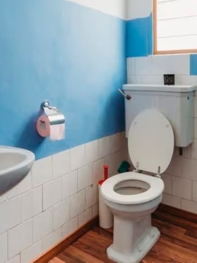 বর্ষায় দুর্গন্ধ? এই ৫ টিপসেই সুগন্ধ ছড়াবে বাথরুমে