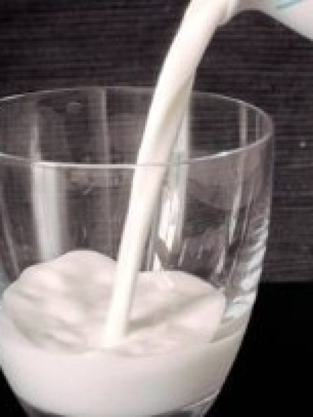 এই দুধ খেলে নেশা হয়ে যায়, জানেন কি