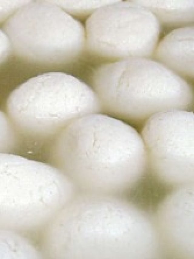 কলকাতার এই দোকানেই সেরা রসগোল্লা পাওয়া যায়, রইল ঠিকানা