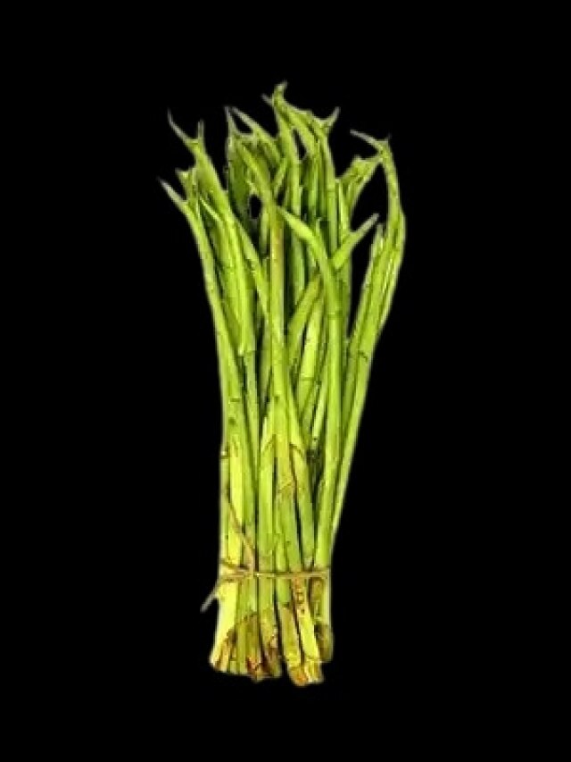 জানেন কচুর লতিকে ইংরেজিতে কী বলে?