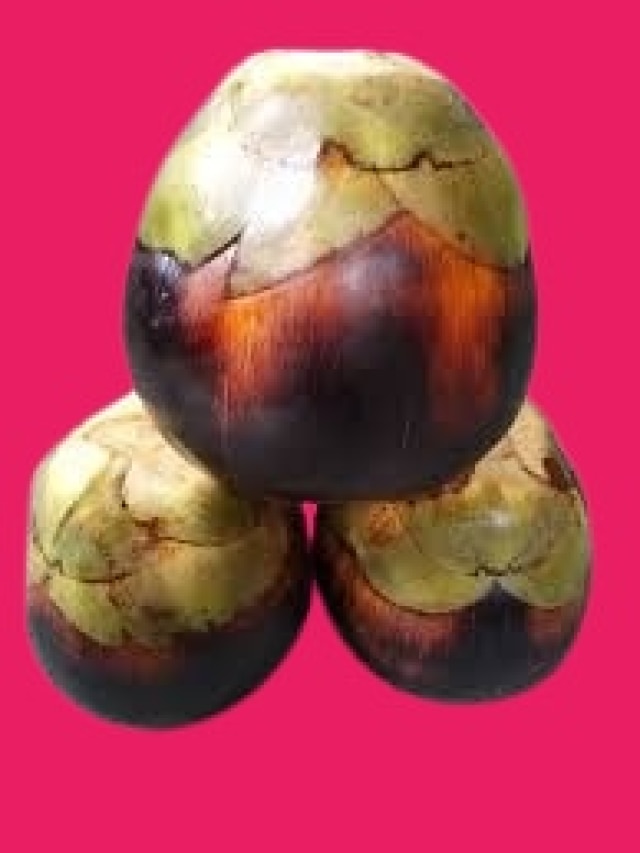 তালশাঁস তো খুব খাচ্ছেন, জানেন তালকে ইংরেজিতে কী বলে?