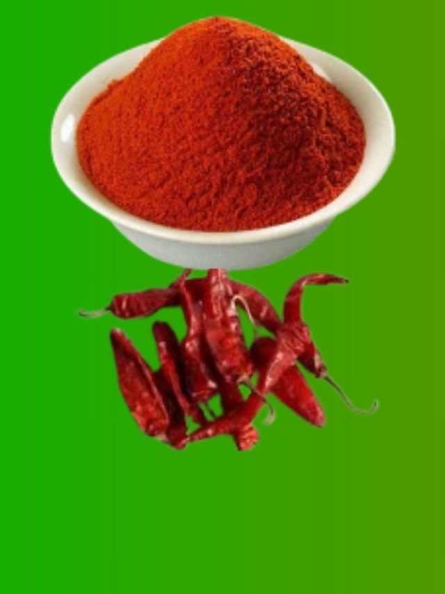 রান্নায় কাশ্মীরি লঙ্কা গুঁড়ো ঠিক কখন দিতে হয়? বড় রাঁধুনিরাও জানে না