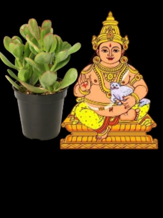 কুবেরদেবের প্রিয় গাছ, বাড়ির ঠিক এদিকে রাখলেই টাকার খেলা শুরু