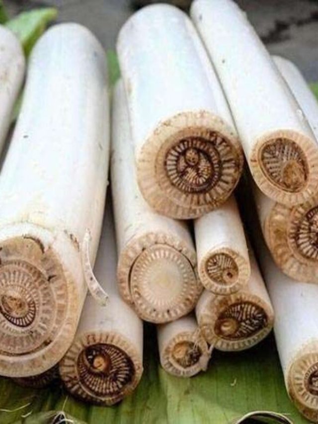 এইভাবে থোড় কেটে দেখুন, আসবে না হাতে কোনও কালো দাগ