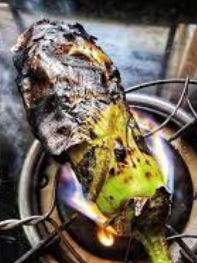 গ্যাসে পোড়ালে ক্যান্সার, এভাবে বেগুন পোড়া হবে গন্ধ-স্বাদে সেরা