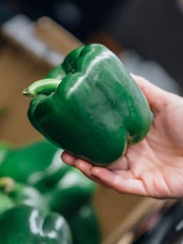 ক্যাপসিকামকে বাংলায় কী বলে? গ্যারান্টি জানেন না