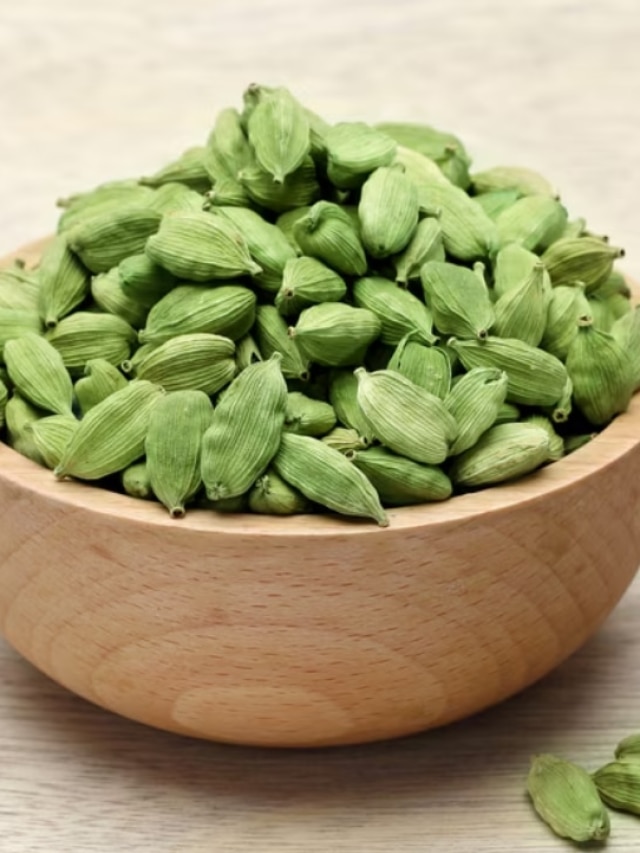 বাড়ির টবে কোটি টাকার এলাচ চাষ, সহজেই হবে করুন এই উপায়ে