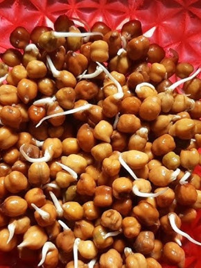 একরাত ভিজিয়েই ছোলায় বেরোবে কল, শুধু টেকনিকটা শিখে নিন