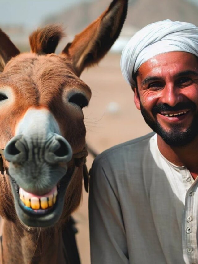 গাধার এই ৫ গুণ শিখে নিন, জীবনে অসফল আর নিরাশ হবেন না