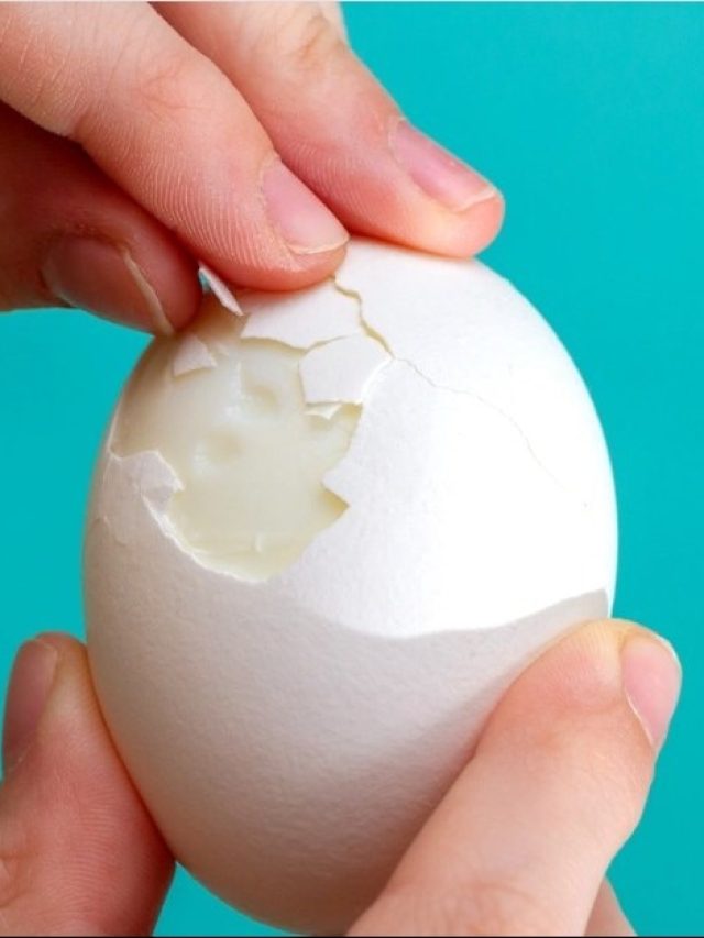 গরমে ফ্রিজেও ডিম পচে, তবে এই ১ ট্রিকে মাসের পর মাস তাজা থাকবে