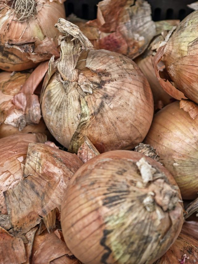 কালো কালো দাগওয়ালা পেঁয়াজ খাবেন নাকি ফেলে দেবেন? জানুন