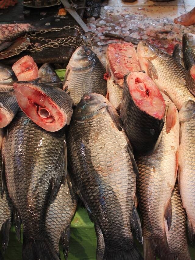 একেবারে টাটকা মাছ পাবেন, শহরের এই ৬ বাজারে গেলে হতাশ হবেন না