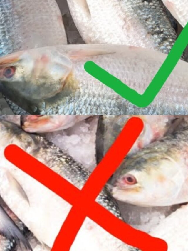 সেরার সেরা পদ্মার ইলিশ, এই ট্রিকসেই চিনুন খাঁটি বাংলাদেশি মাছ