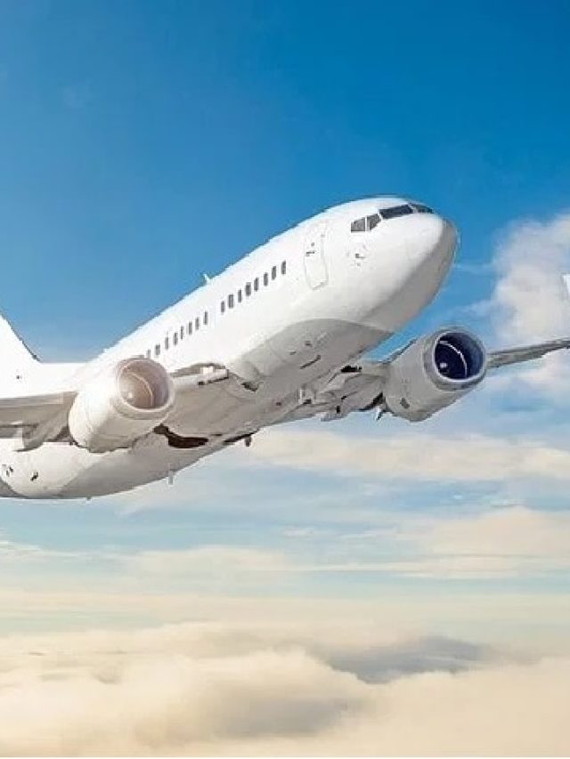 কোন ফল Flight-এ নেওয়া 'নিষিদ্ধ'? না জানলেই কেস খাবেন