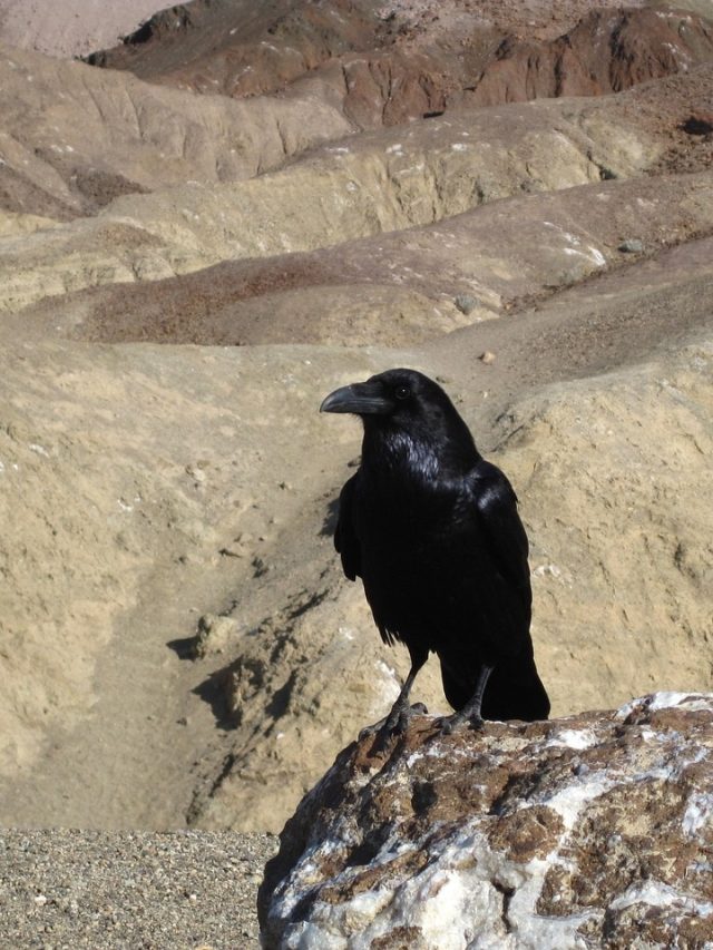 স্বপ্নে এই জিনিসগুলি দেখলে সাবধান, আপনার মাথায় ঘটছে কেমিক্যাল রিঅ্যাকশন