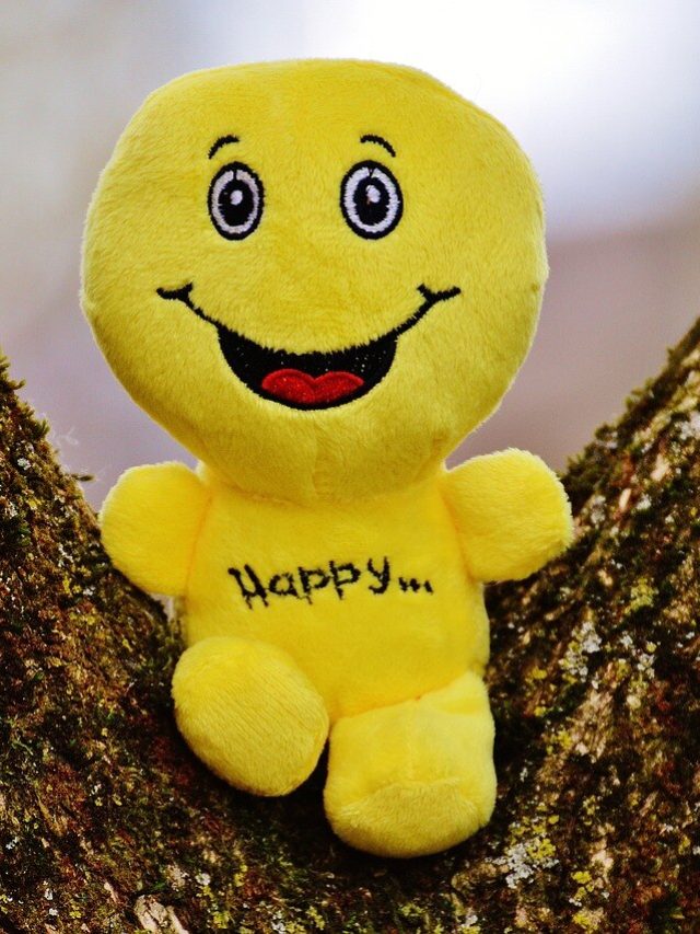 জীবনে খুব চাপ? ভালো থাকতে এই JOKES পড়ে হাসুন দেখি খিলখিলিয়ে