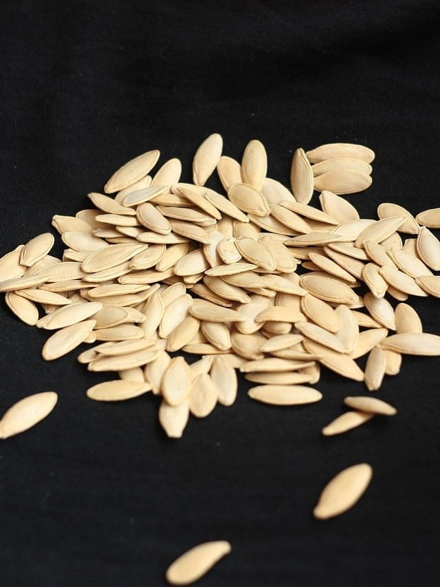 ফেলবেন না, খেয়ে নিন এই সবজির বীজ, ত্বকের মহৌষধ এটি