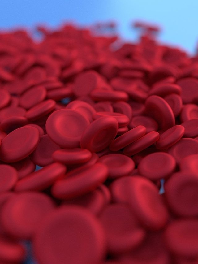 এই ৭ খাবার অ্যানিমিয়া দূর করে হু হু করে রক্ত বাড়ায় শরীরে