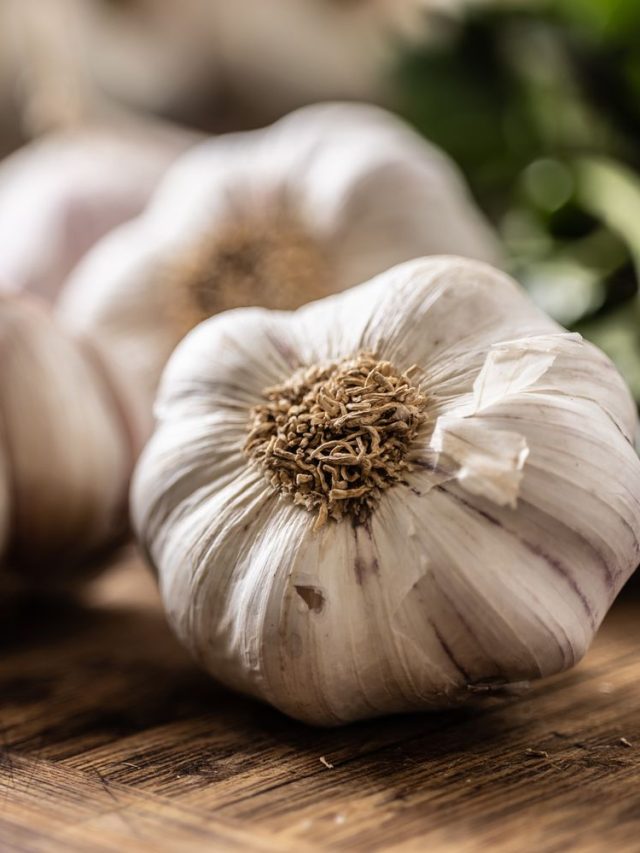 রসুন আমিষ নাকি নিরামিষ? গ্যারান্টি জানেন না