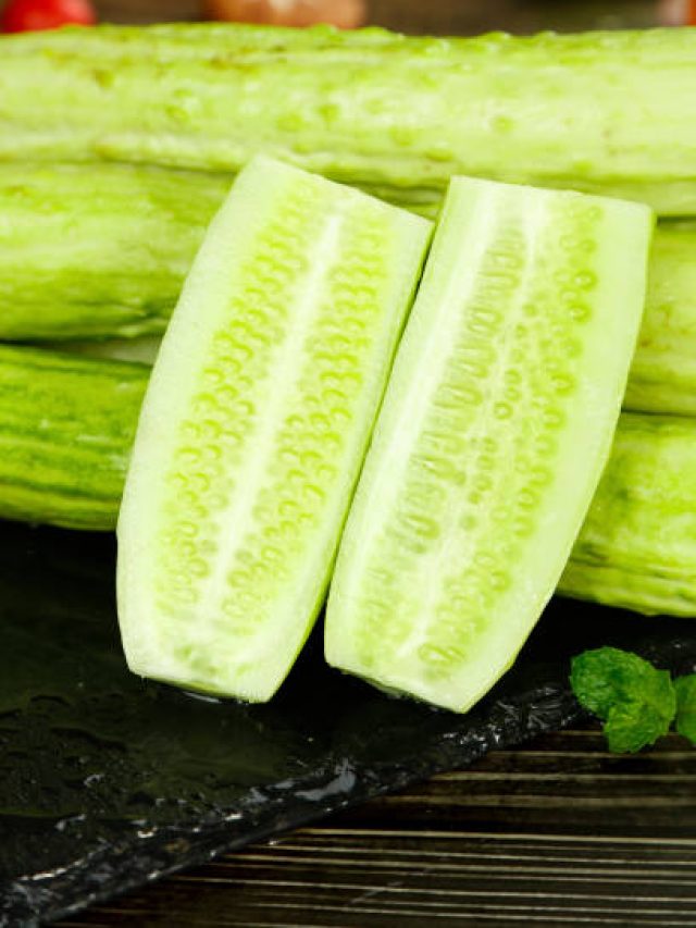 শসার বীজ খেলে শরীরে কী হয়? জেনে নিন