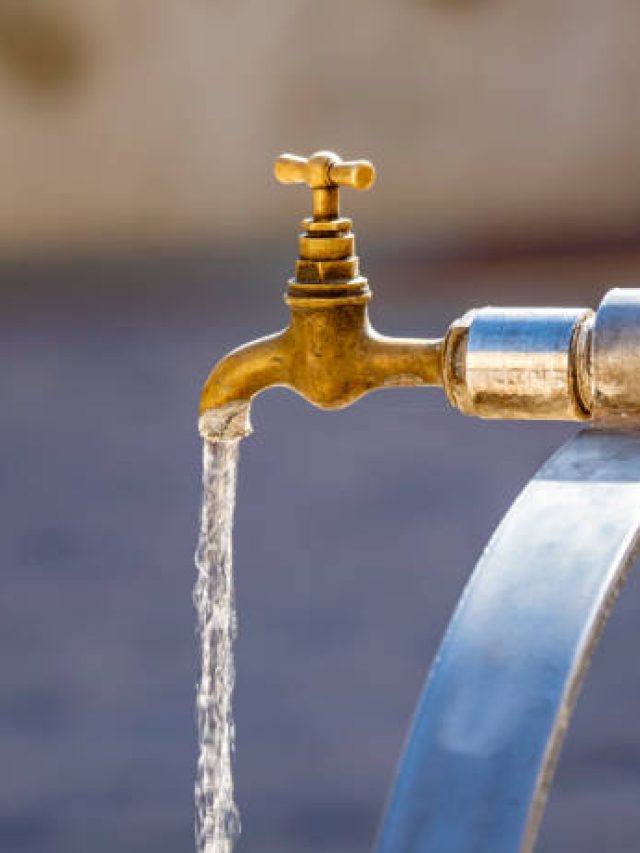 বাড়ির ঠিক এদিকে জলের ব্যবস্থা রাখুন, উন্নতি কেউ রুখতে পারবে না