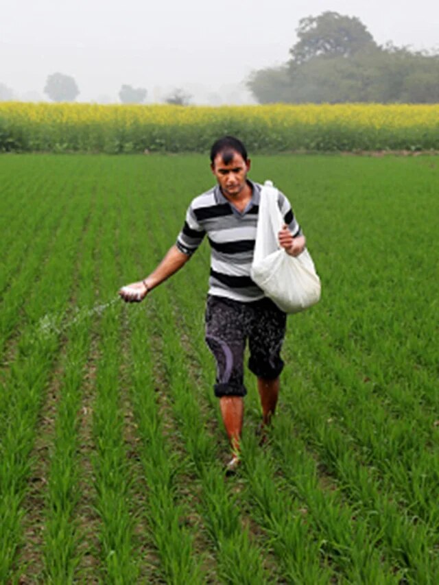 নিজের এলাকায় সারের দোকান খুলতে চান? জানুন কীভাবে লাইসেন্স পাবেন