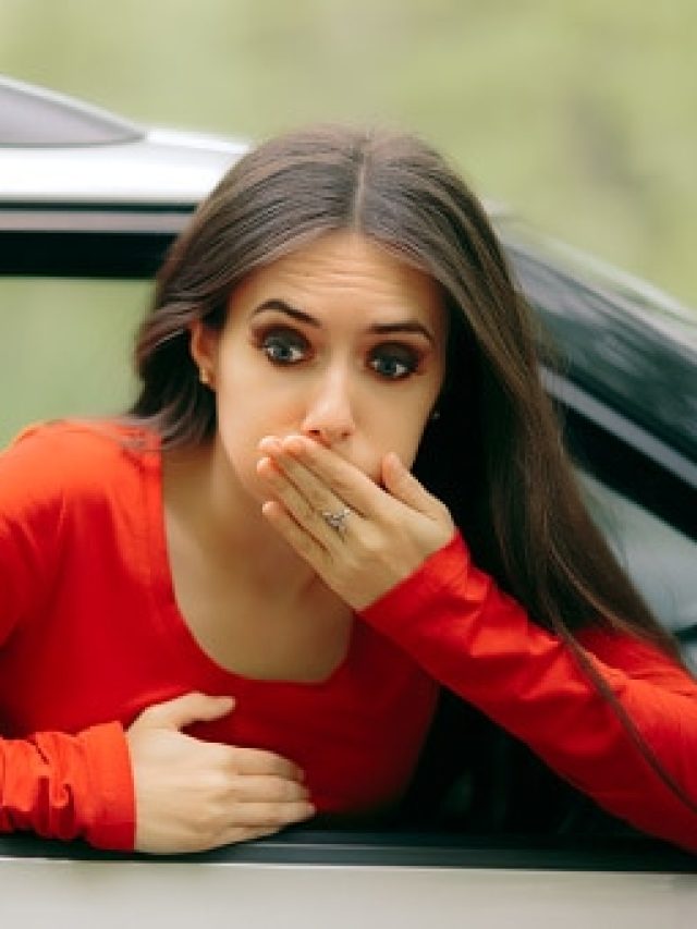 পাহাড়ে ঘুরতে গিয়ে গাড়িতে বমির ভয়ে বুক ধুকপুক? মুখে রাখুন এই মশলা