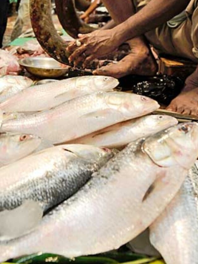 এত্তো সস্তা! কলকাতার কাছে এই হাটে তাজা ইলিশ বেচেন জেলেরাই
