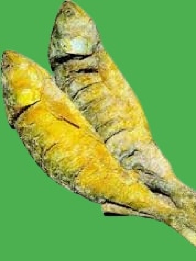 নোনা ইলিশ এভাবে বাড়িতে তৈরি করুন, কম করে ৬ মাস খেতে পারবেন