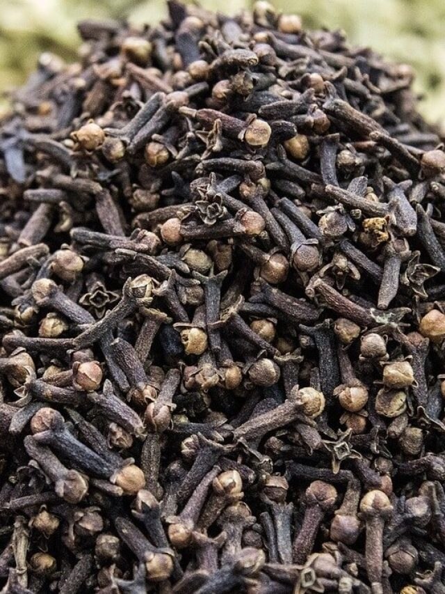 লবঙ্গের এই টোটকায় শোধ হবে ছোটো থেকে বড় দেনা, জানুন