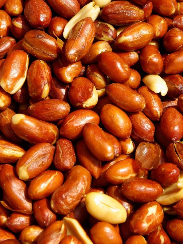 দেশি এই বাদামের বহু উপকারিতা, কতটা খাবেন?