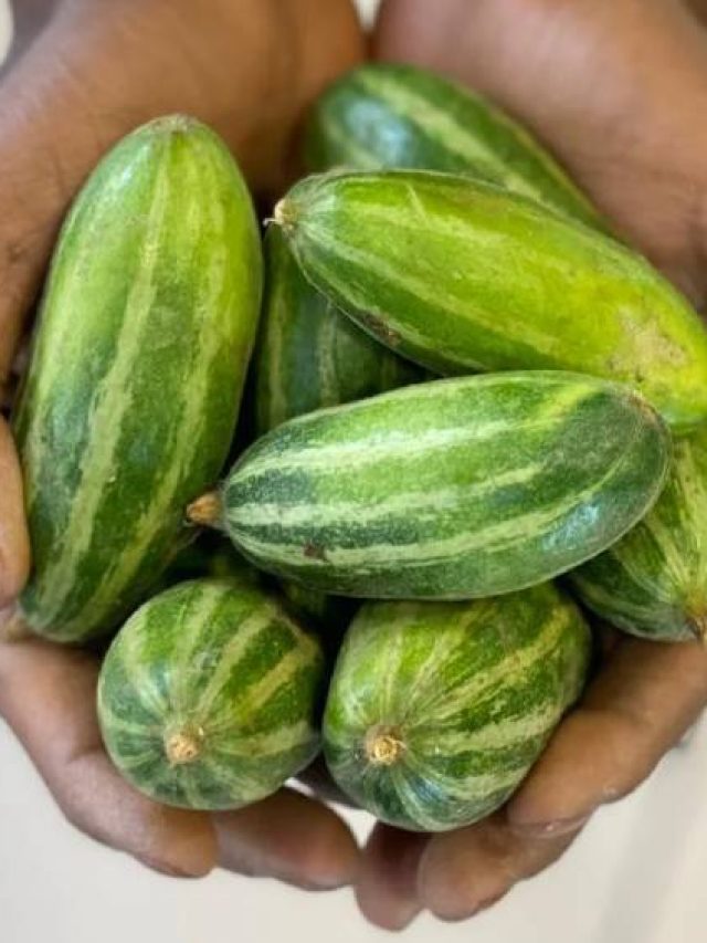 ভাজা-দোরমা অতীত, বাঙালি মজেছে পটল ভর্তায়, রেসিপি