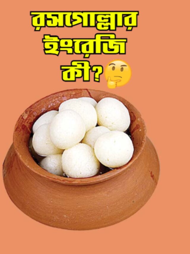 রসগোল্লাকে ইংরেজিতে কী বলে? জানলে অবাক হয়ে যাবেন