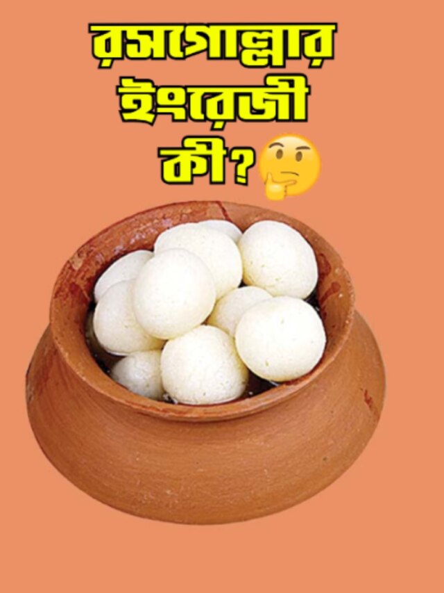 রসগোল্লাকে ইংরেজিতে কী বলে? জানলে আকাশ থেকে পড়বেন