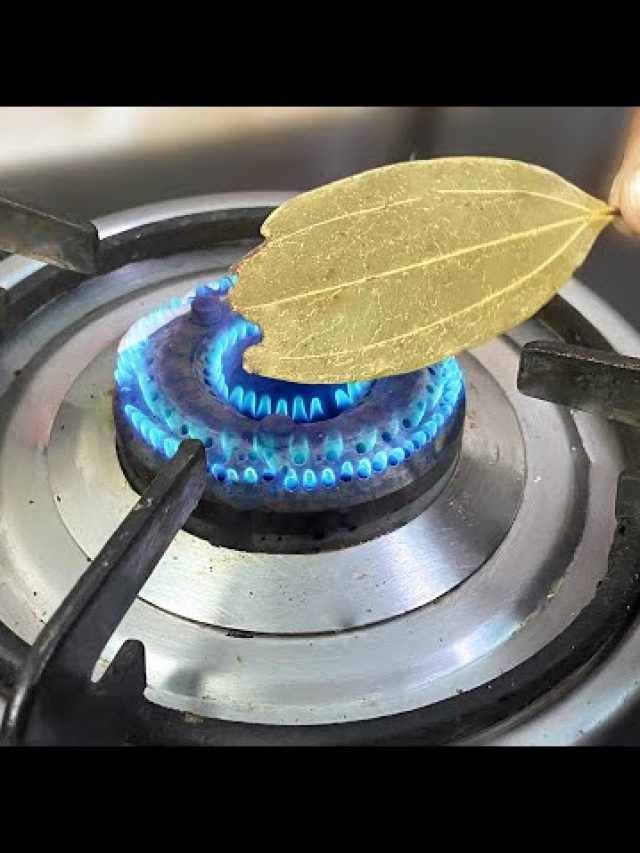 রোজ রান্নাঘরে পোড়ান একটা করে তেজপাতা, জীবনটাই বদলে যাবে