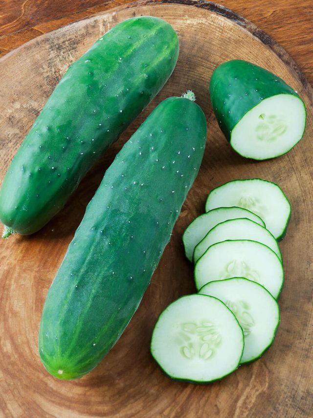 শসা তেতো কিনা বুঝবেন এক ঝলক দেখেই, কায়দাটা জেনে নিন