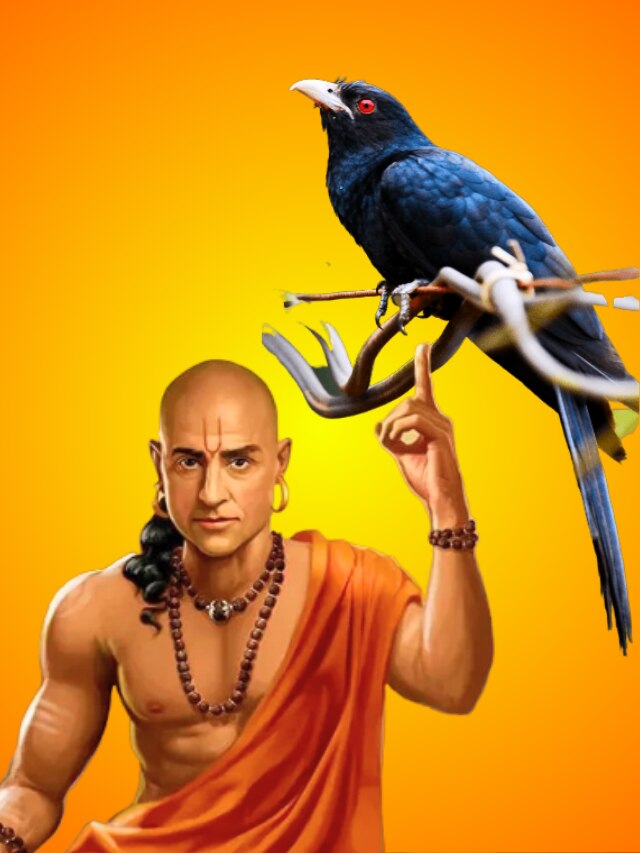 কোকিলের এই গুণেই ভিখারি থেকে কোটিপতি, চাণক্য যা বলেছেন