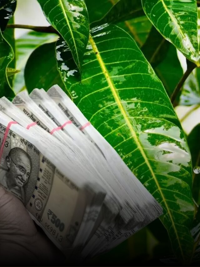 ঘরের এই কোনে আমের পল্লব রাখলে প্রসন্ন হন লক্ষ্মী