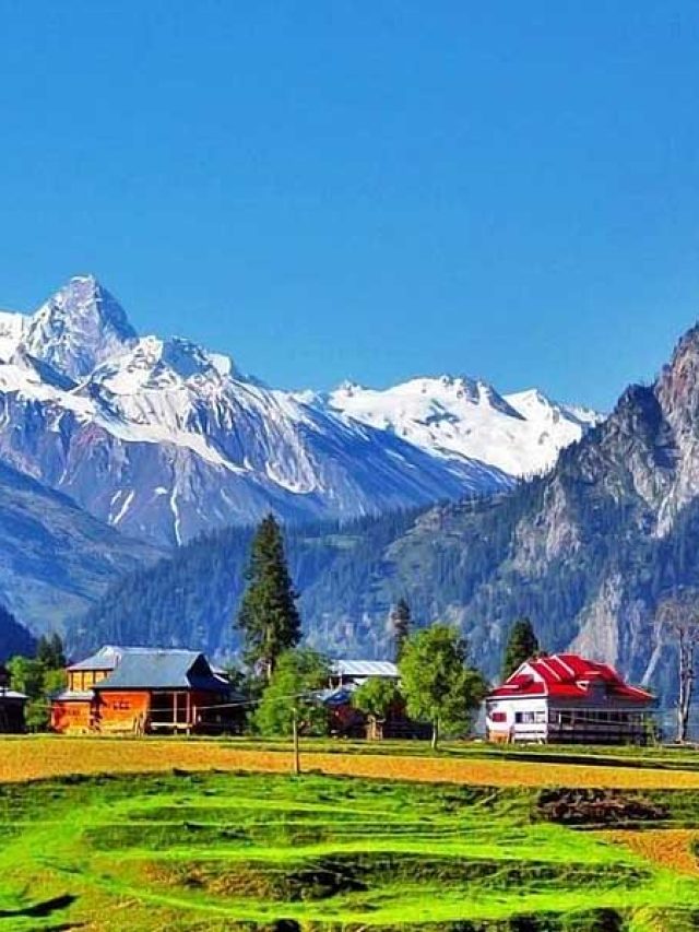 থাকা-খাওয়া ফ্রি! দেশের কয়েকটি দুর্দান্ত ট্যুরিস্ট স্পট