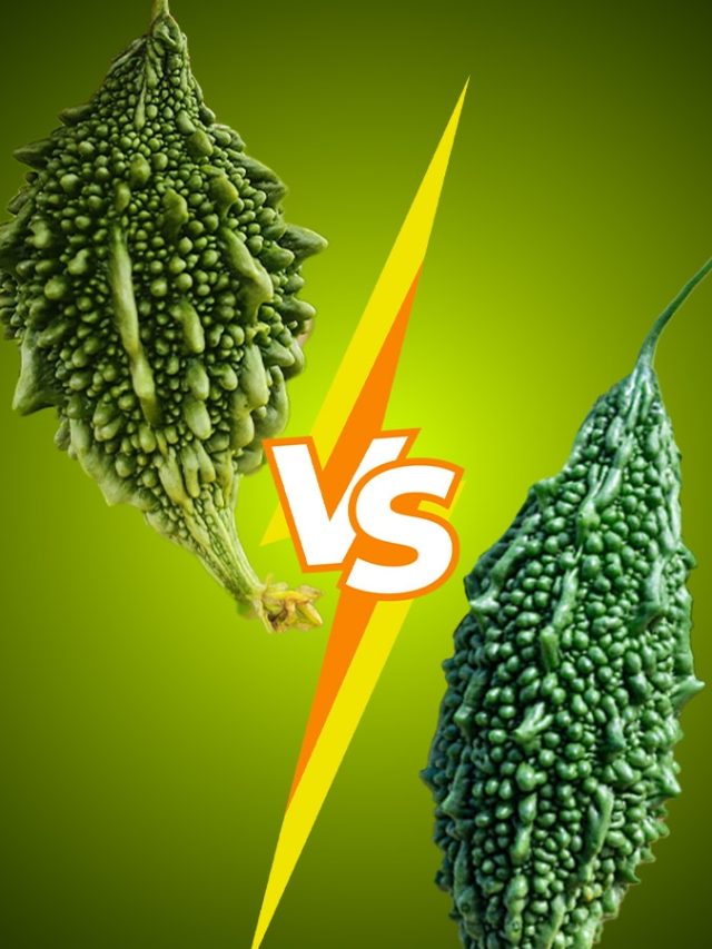 করলা vs উচ্ছে, দুটোর মধ্যে পার্থক্য কী? জানেনই না অনেকে