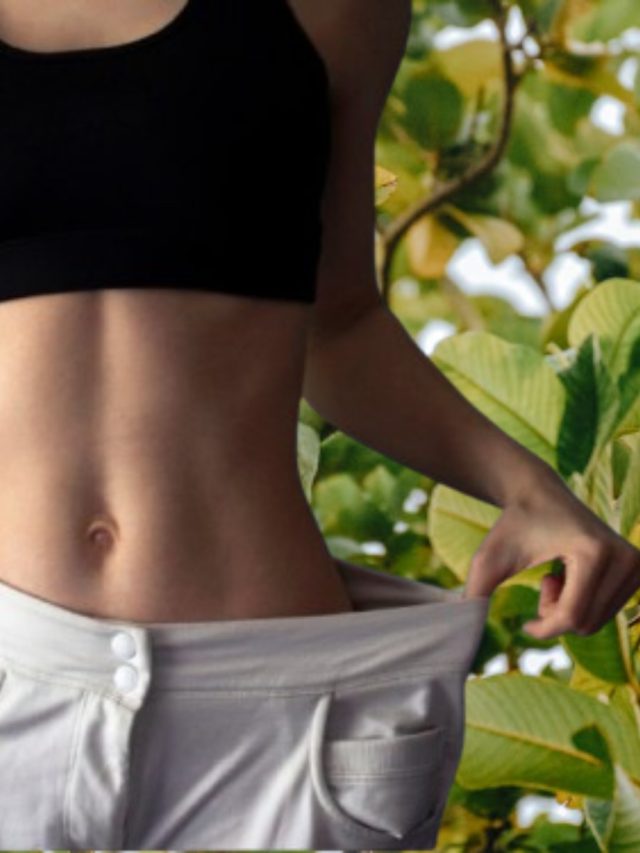 পুজোর আগেই হুড়মুড়িয়ে কমবে ওজন, সকালে চিবিয়ে খান এই পাতা