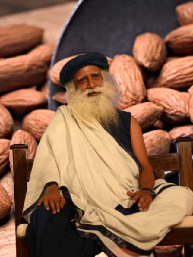 ভিজিয়ে আমন্ড খাওয়ার আগে এই কাজটি করুন, ক্যান্সারের ঝুঁকি কমে যাবে